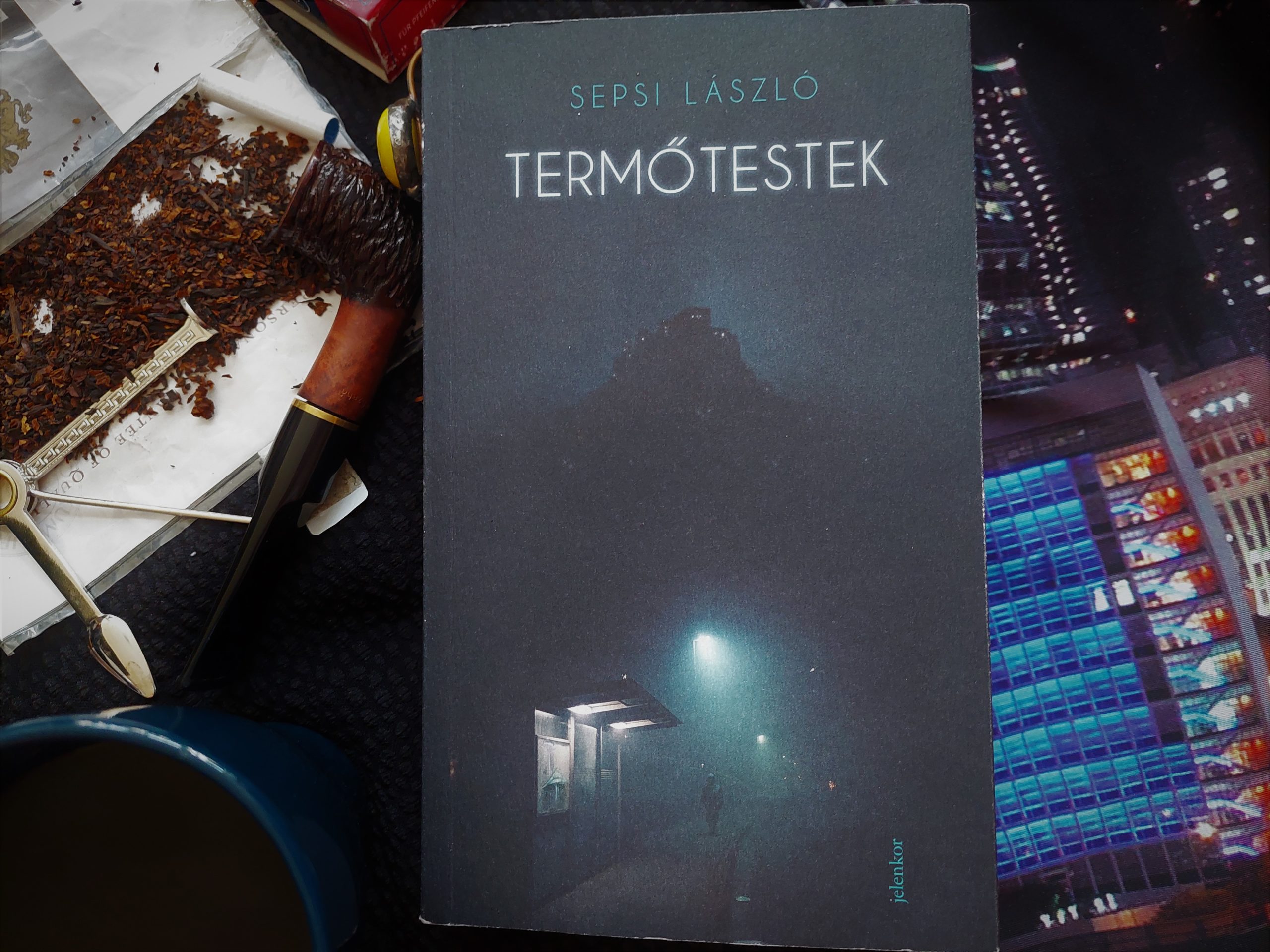 Termőtestek - saját kép