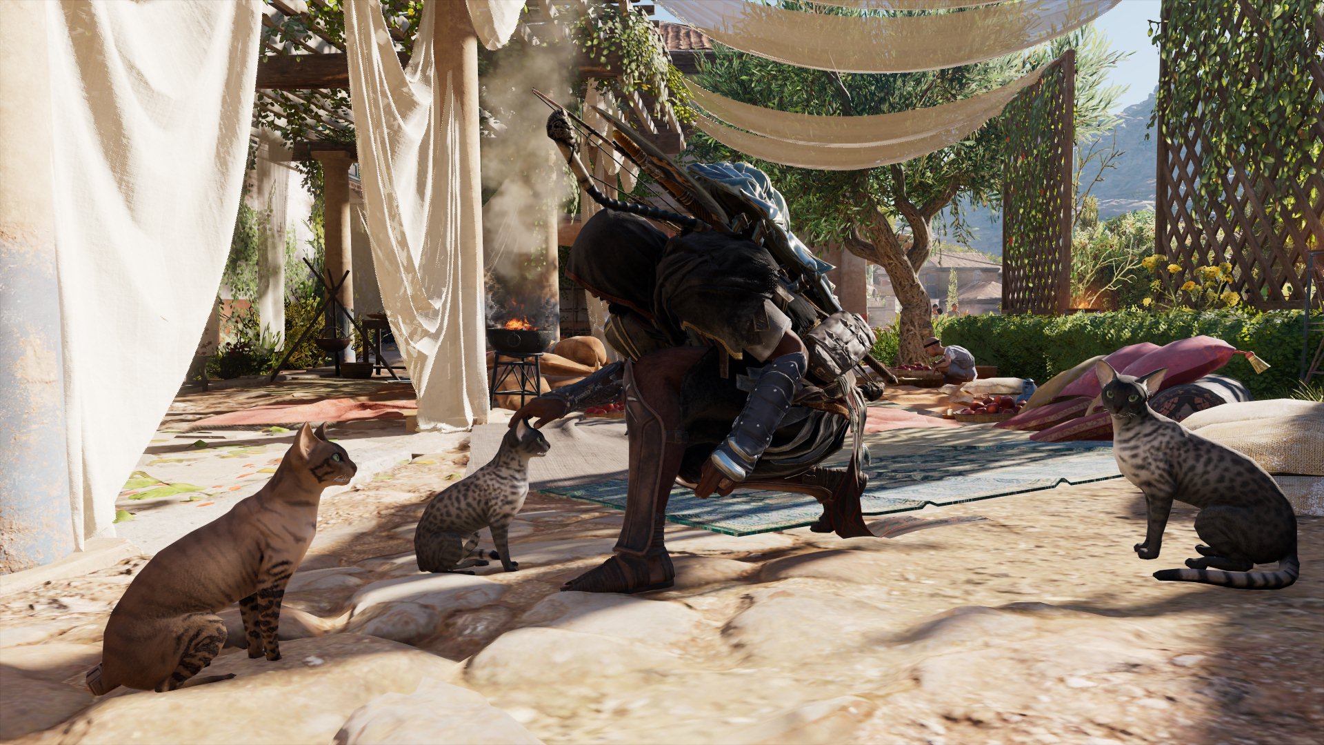 acorigins9.jpg