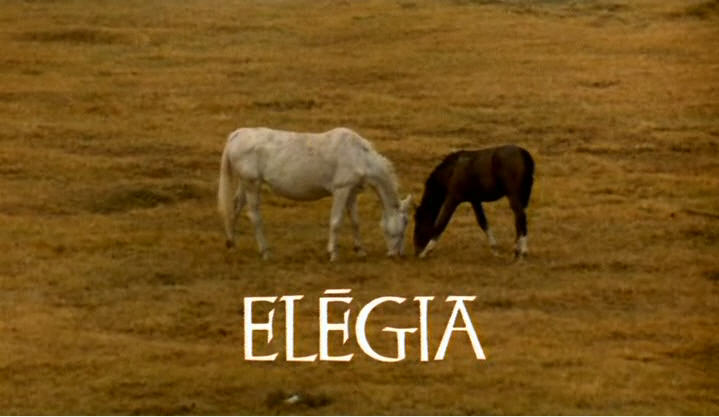 elegia1.jpg