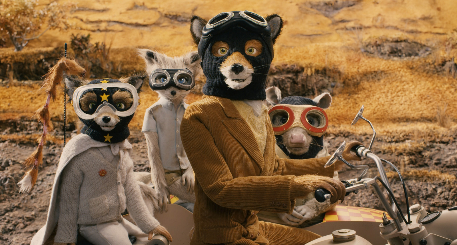 mrfox2.jpg