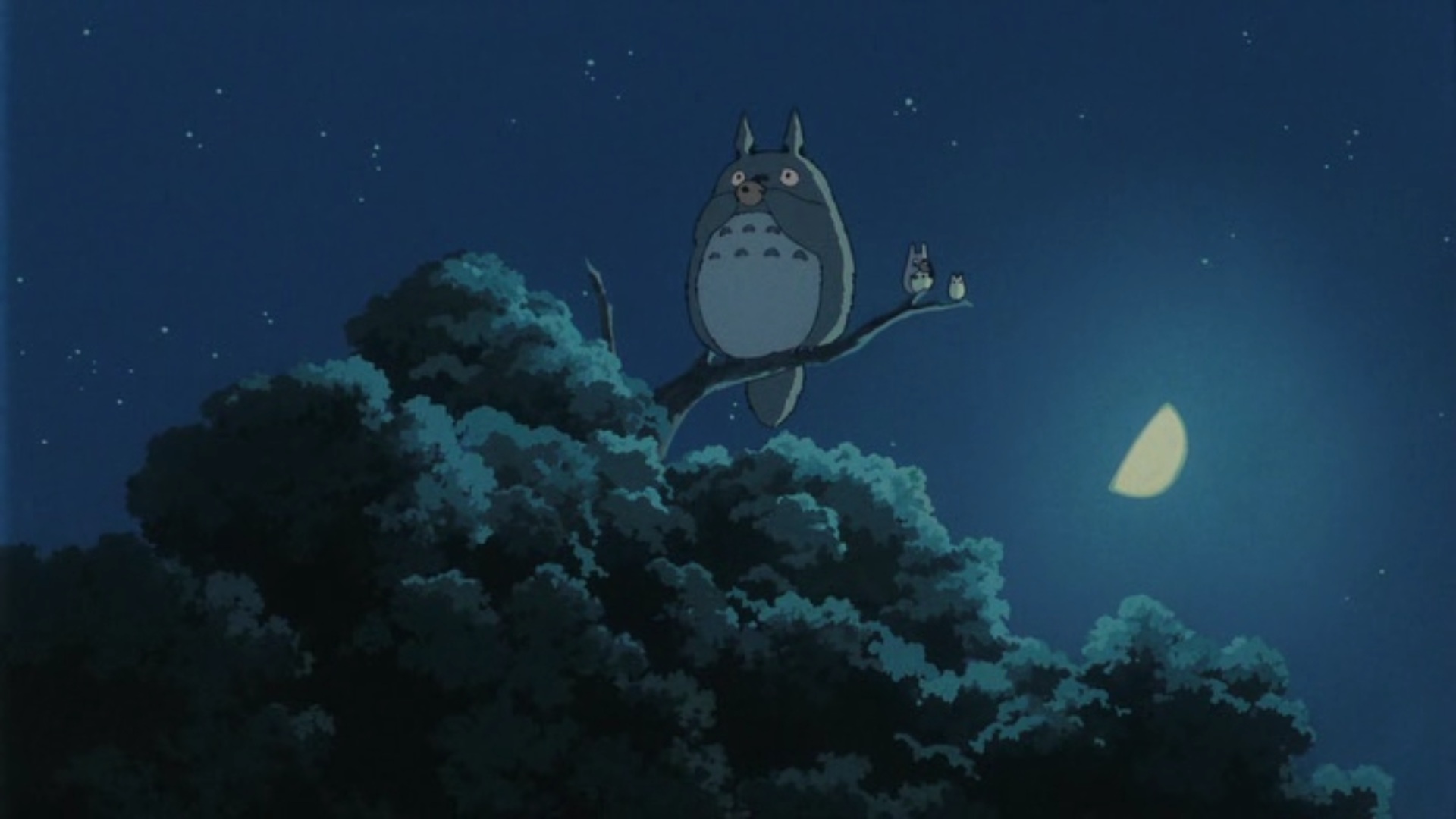 totoro6.jpg