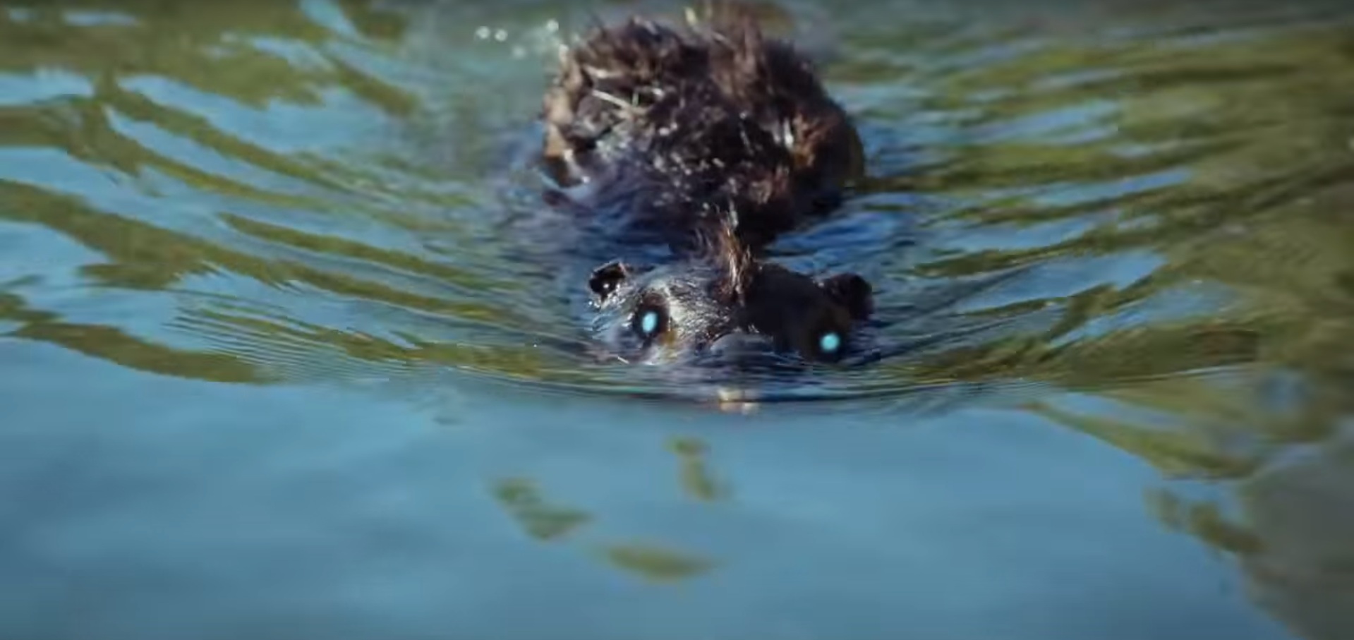 zombeavers3.jpg